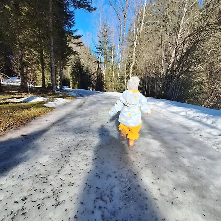 Thuss'n: Family-friendly Alpine Retreat *