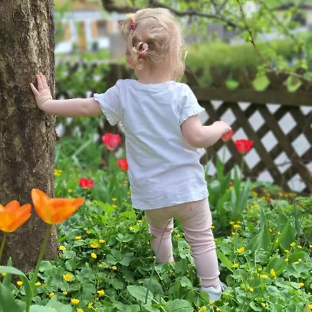 Apartmán Haus Thussn, Fuer Familien Und Paare Kirchberg in Tirol